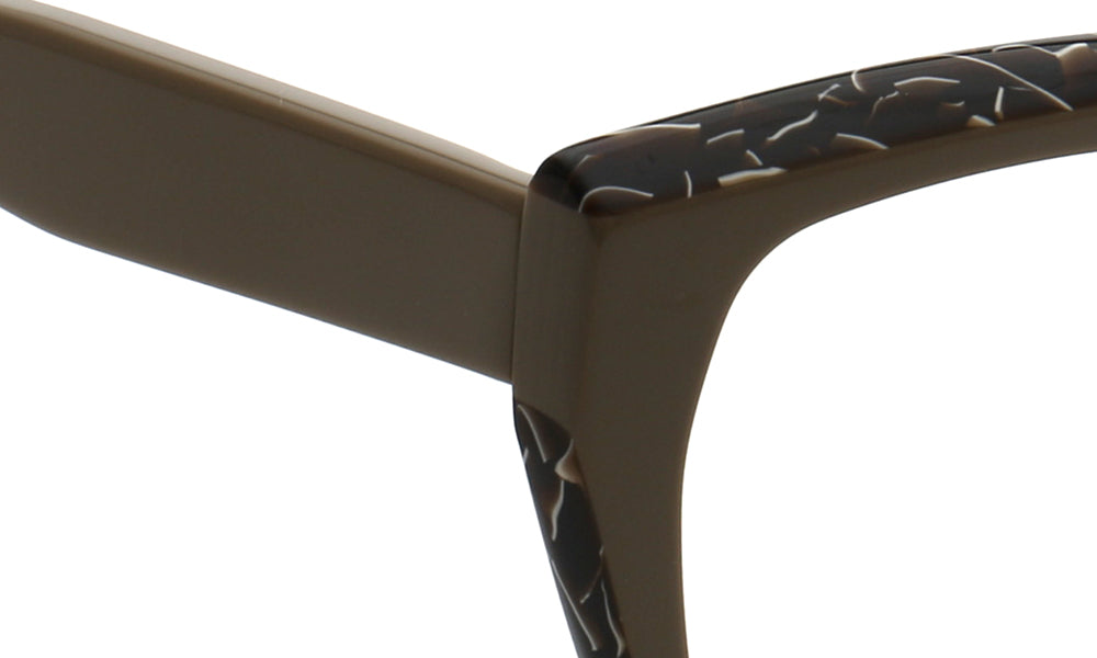 temple of womens cat eye spectacles 
