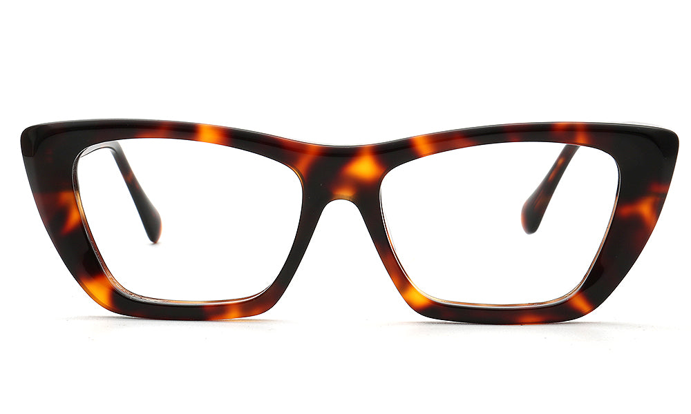 fashionable tortoise eyeglasses frames for women