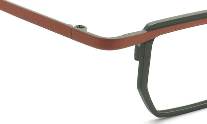 Two Tone temple of titanium glasses frames