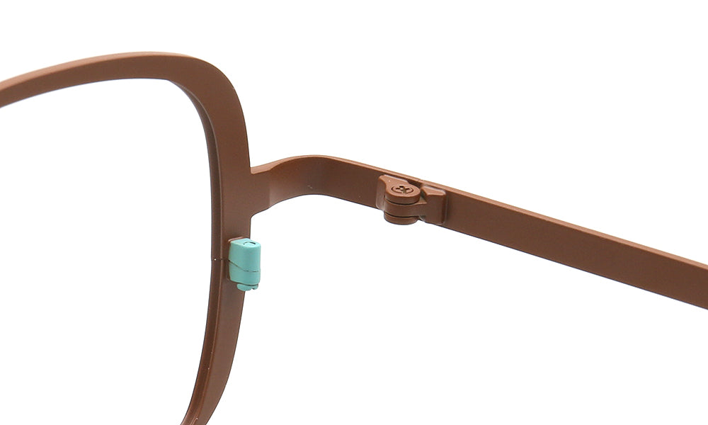 hinges of titanium spectacles 