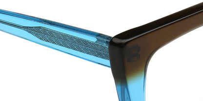 blue temple of glasses frames