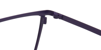 hinges of womens titanium glasses frames