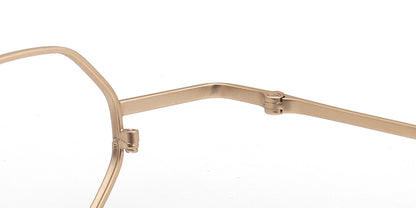 hinges of gold metal spectacles