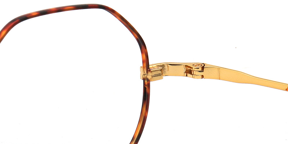 gold hinges of titanium glasses frames