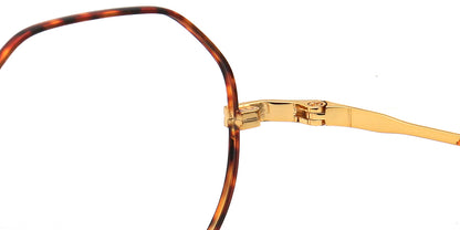 gold hinges of titanium glasses frames