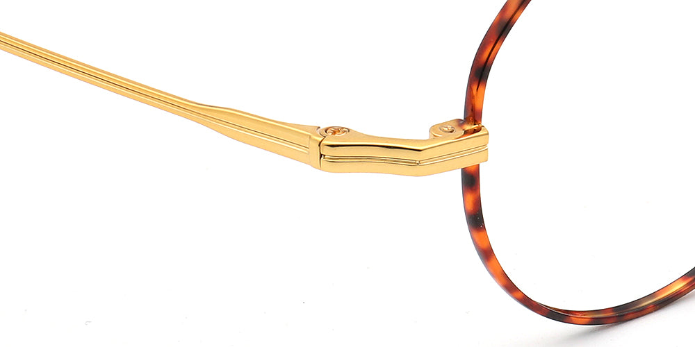 gold temple of titanium eyewear frames