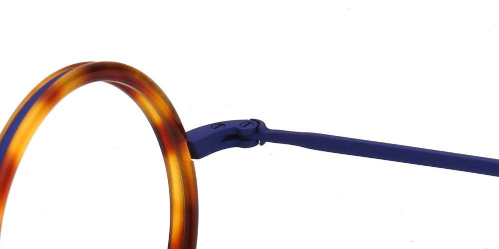 navy temple of tortoiseshell eyeglasses