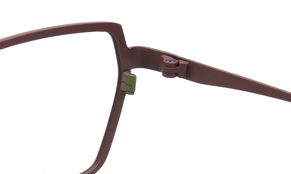 hinges of brown titanium eyewear frames